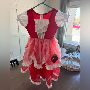 Little adventures dress up costume